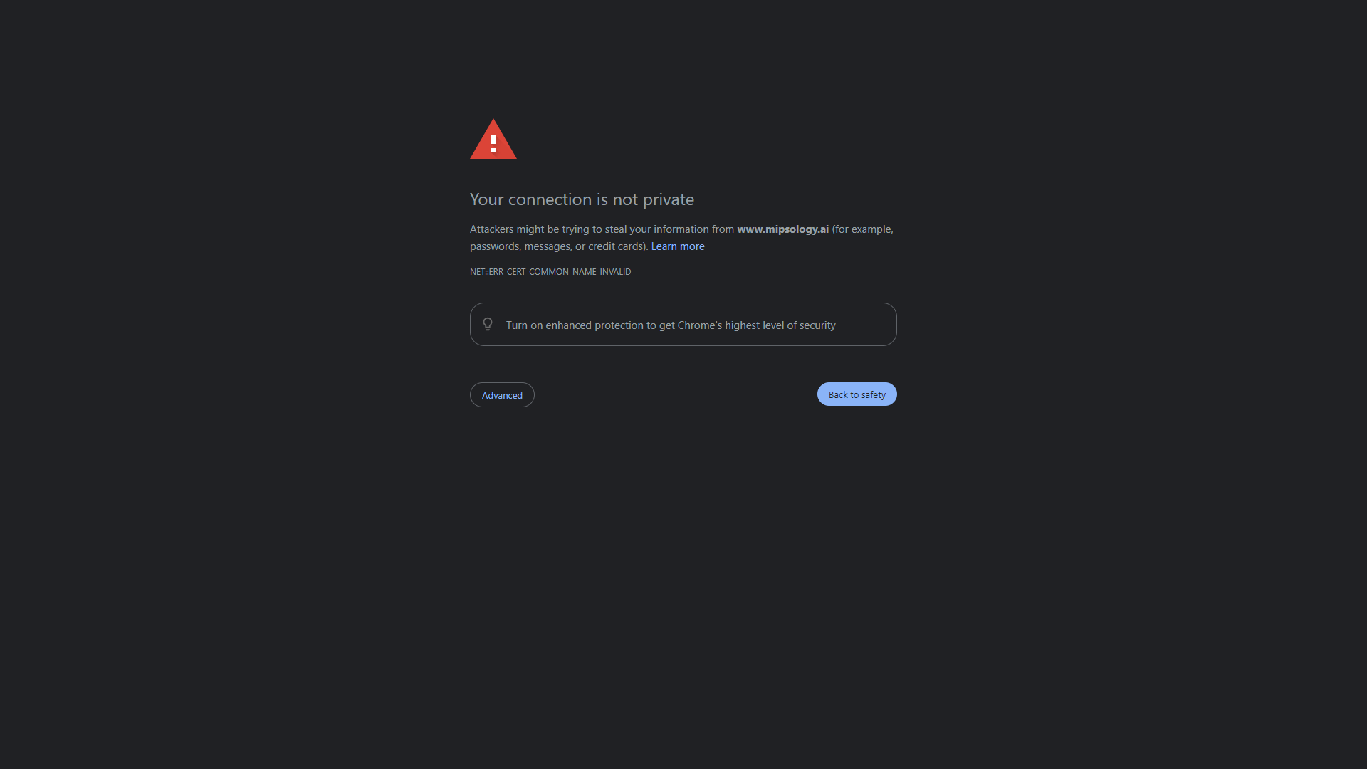 Mipsology screenshot