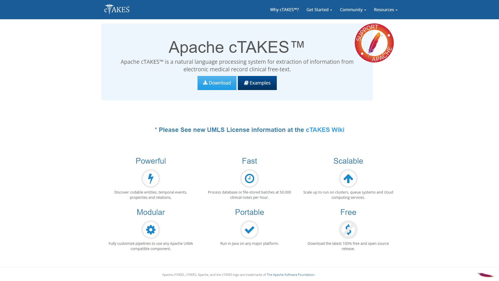 Apache cTAKES screenshot