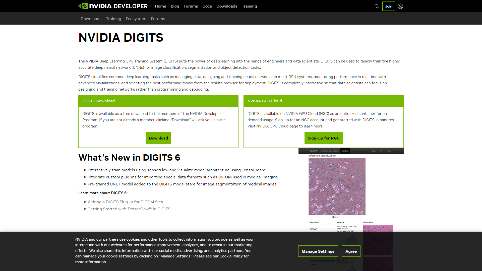 NVIDIA Deep Learning GPU TrAIning System (DIGITS) screenshot