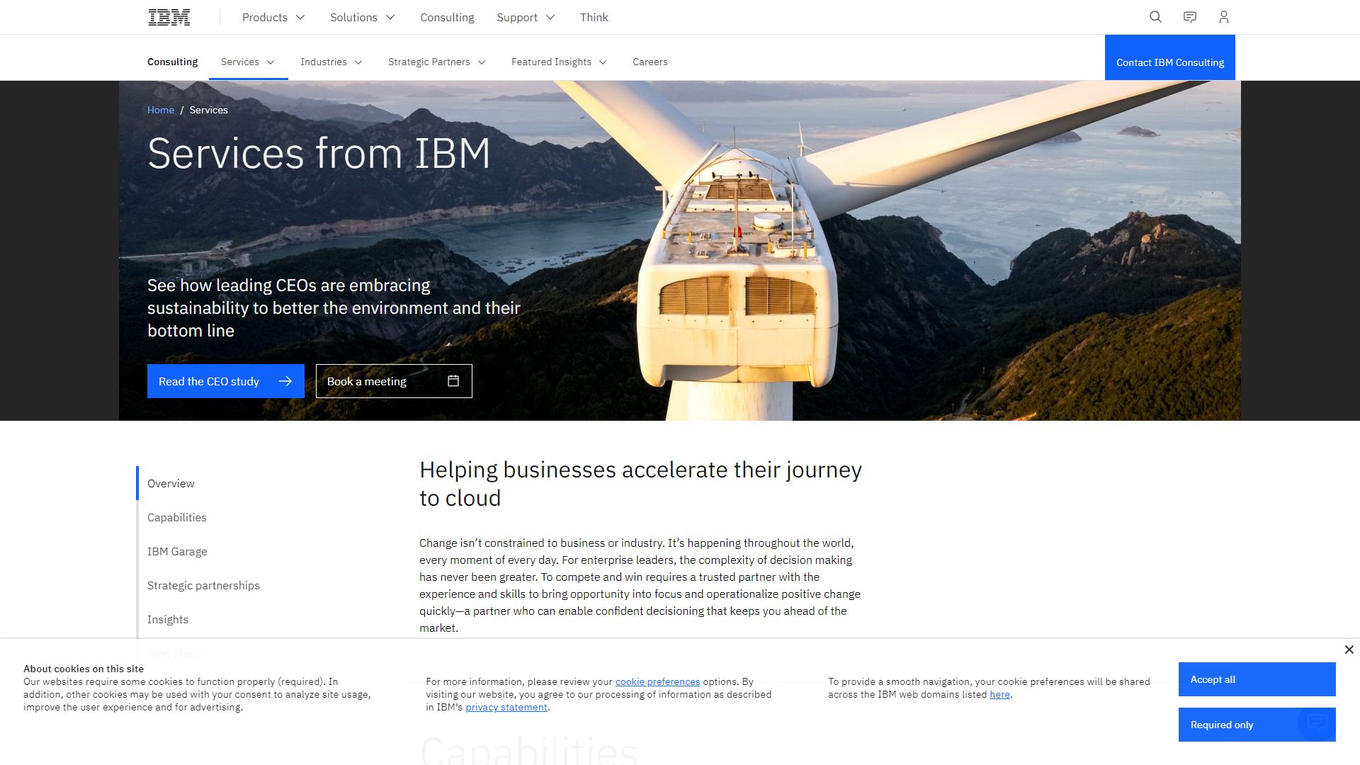 IBM Services Software Model Builder screenshot