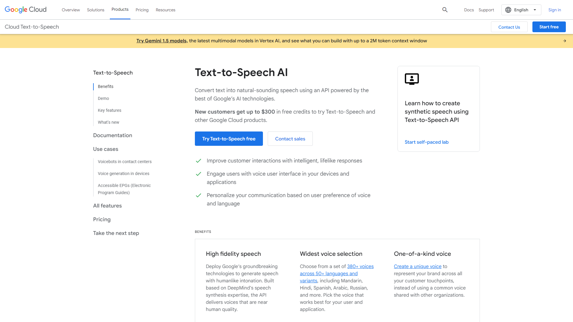 Google Cloud Text-to-Speech screenshot